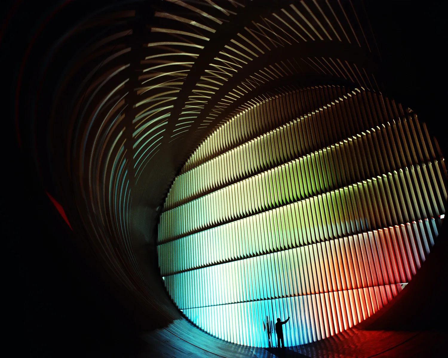 daffndill | Werbeagentur | Kreativmotiv – P6xrDMFSU unsplash